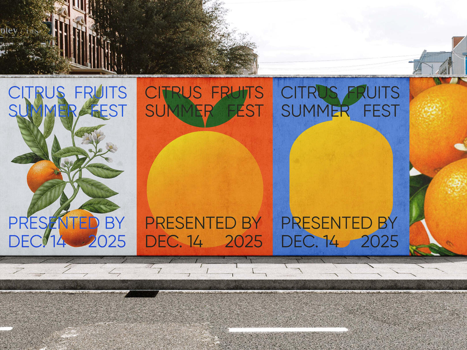 Citrus fruits summer festival poster collection.